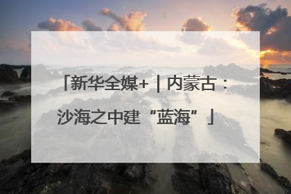 新华全媒+｜内蒙古：沙海之中建“蓝海”